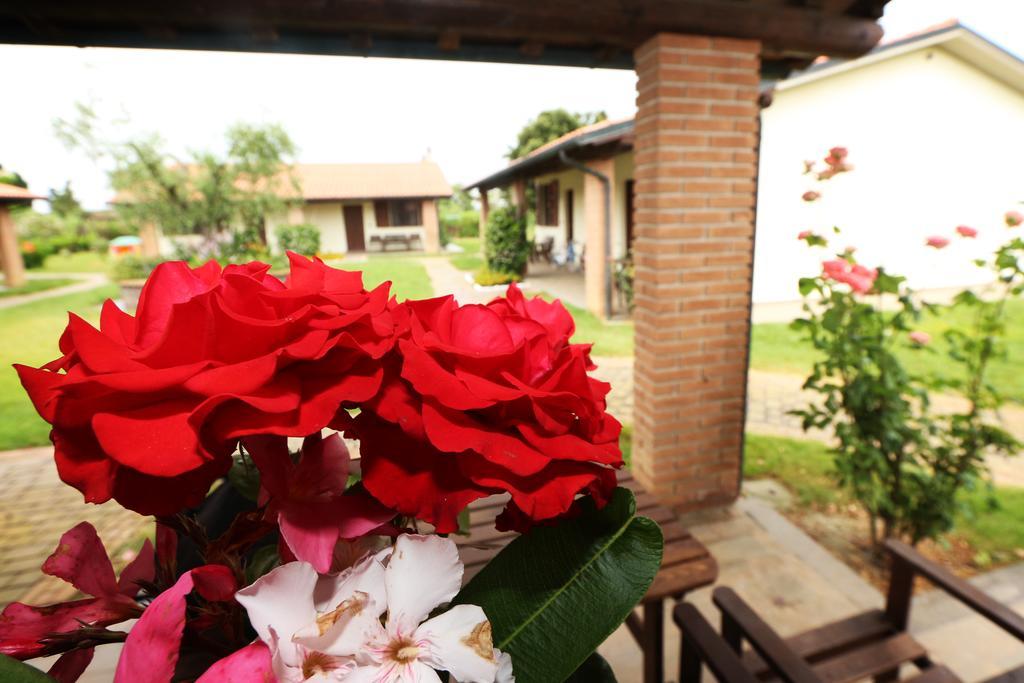 Agriturismo Gli Etruschi Популония Номер фото